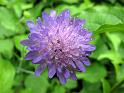 2010-06-12, Uttewalder Grund (49)